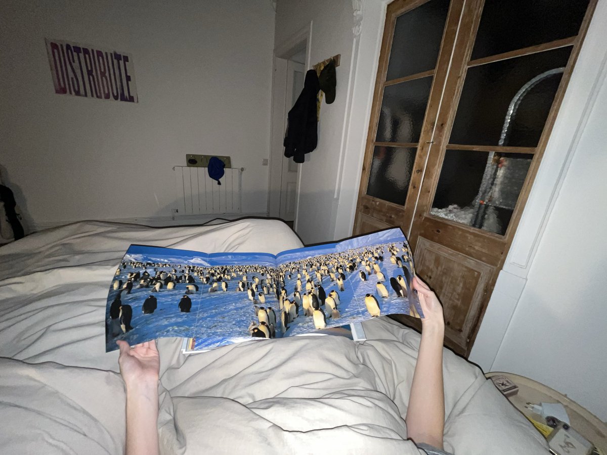 sobrevivió tweet media