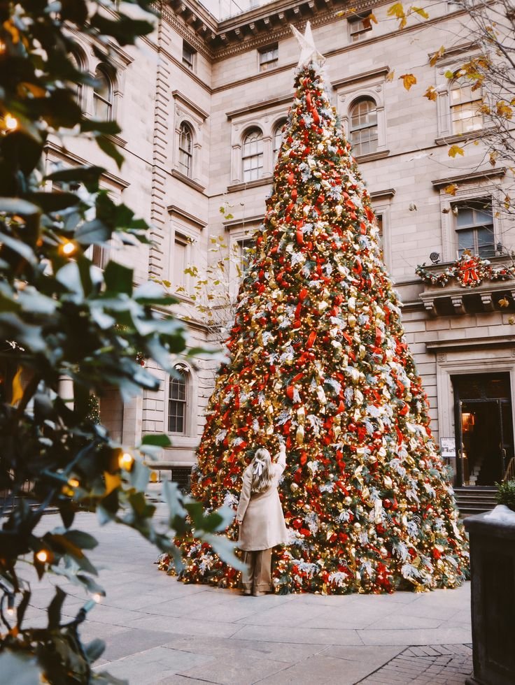 MittCPA's tweet photo. it's the most wonderful time of the year 🎶 https://t.co/zZzzNZmaNd