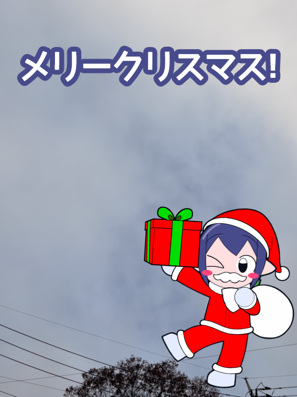 おはようございます🫐 ある意味ホワイトクリスマス？そんな空模様です