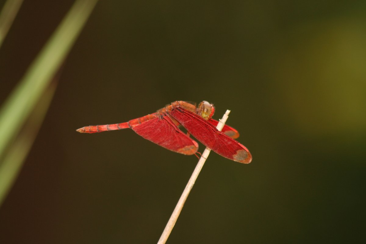 千秋不變之人 tweet media