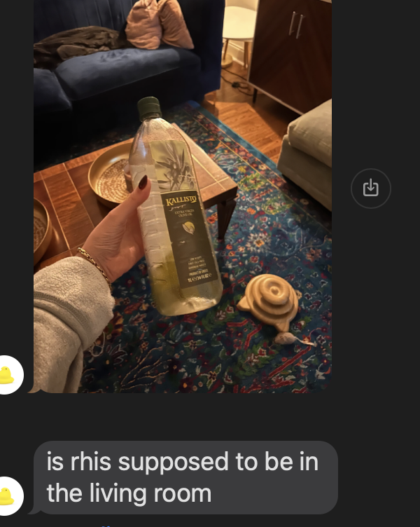 UPDATE FROM THE CATSITTER.