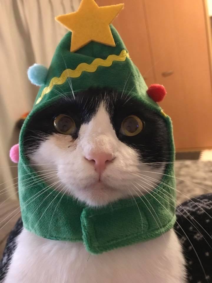 NoelEternal (@noeleternal) on Twitter photo 