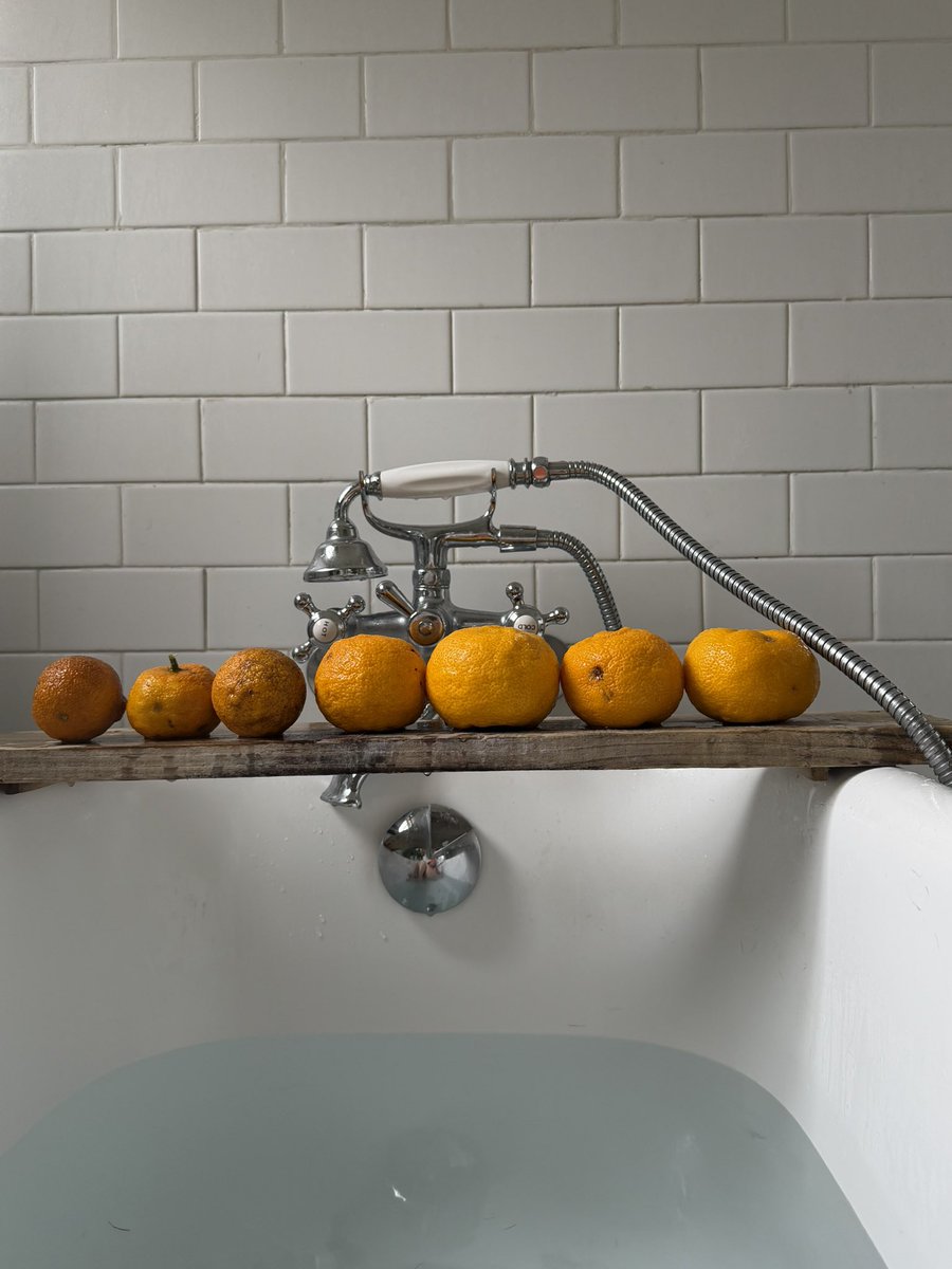 何日使えるかな。 左は拾った柚子 右は買った ジンジャー 拾った柚子で