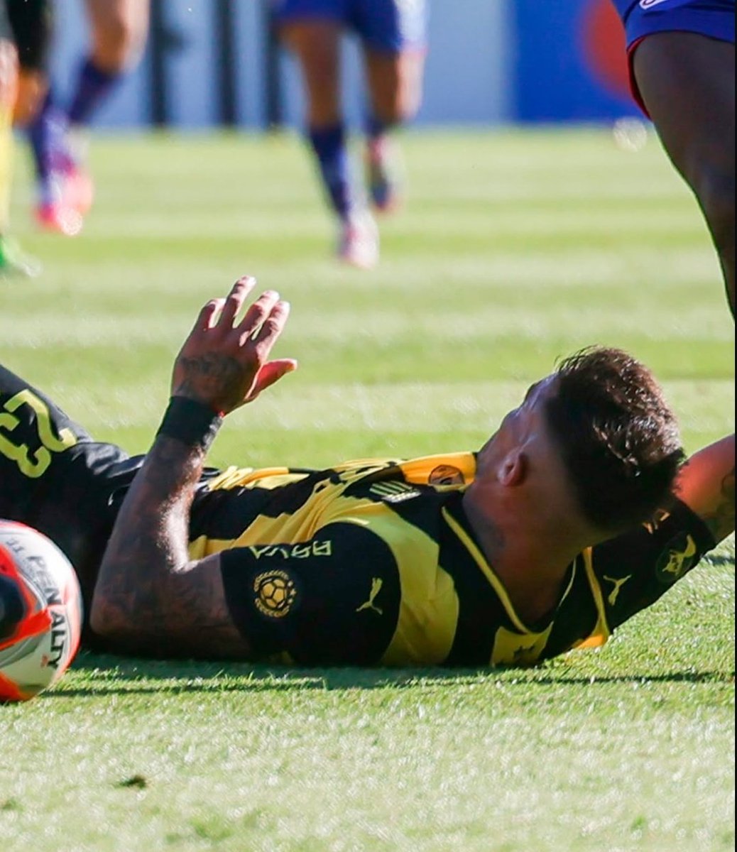 ❌ NO A LA PIROTECNIA ❌

En estas fiestas, PENSA en los perros 👇🏽⚠️