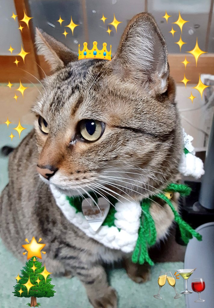 ゆうちさサマ♡㌻ ̗̀ 🤍🎄𝑀𝑒𝑟𝑟𝑦 𝐶ℎ𝑟𝑖𝑠𝑡𝑚𝑎𝑠🎄🤍 ̖́-