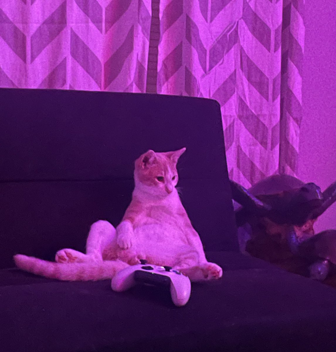 I got a heart like a Truck