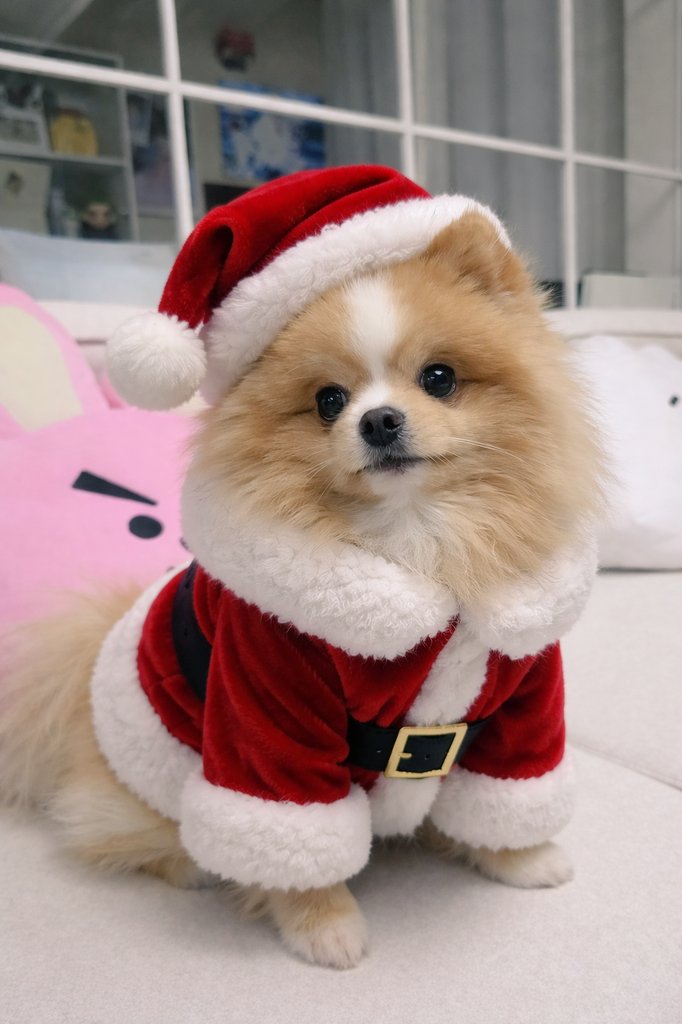 메리크리스마스에영~ 🎄🎅🎁