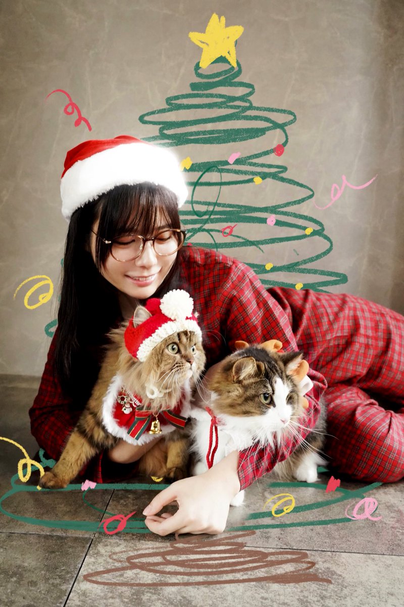 サンタニャンたちも可愛すぎる🐱🎅🏻✨