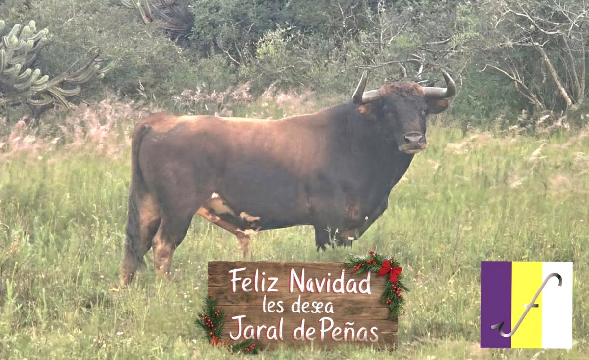 Jaral de Peñas tweet media