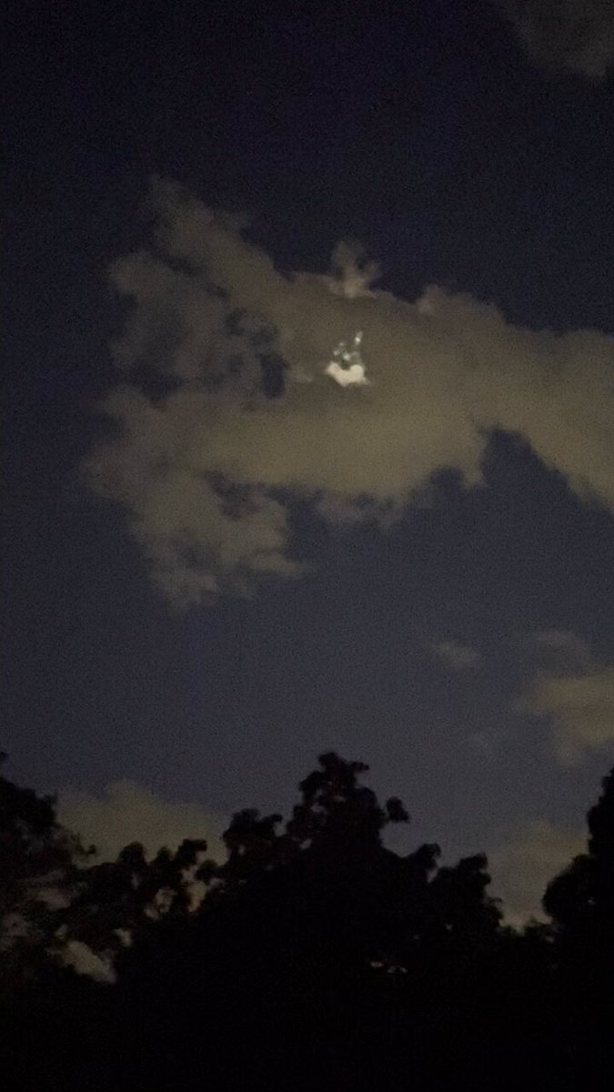 a sacred heart in the clouds (over a flowering tree of mine) 🤍