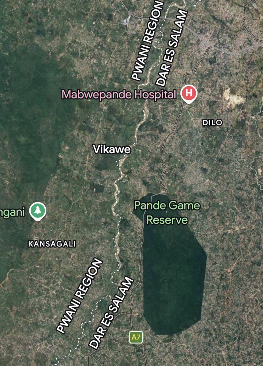 Maria Sarungi Tsehai tweet media