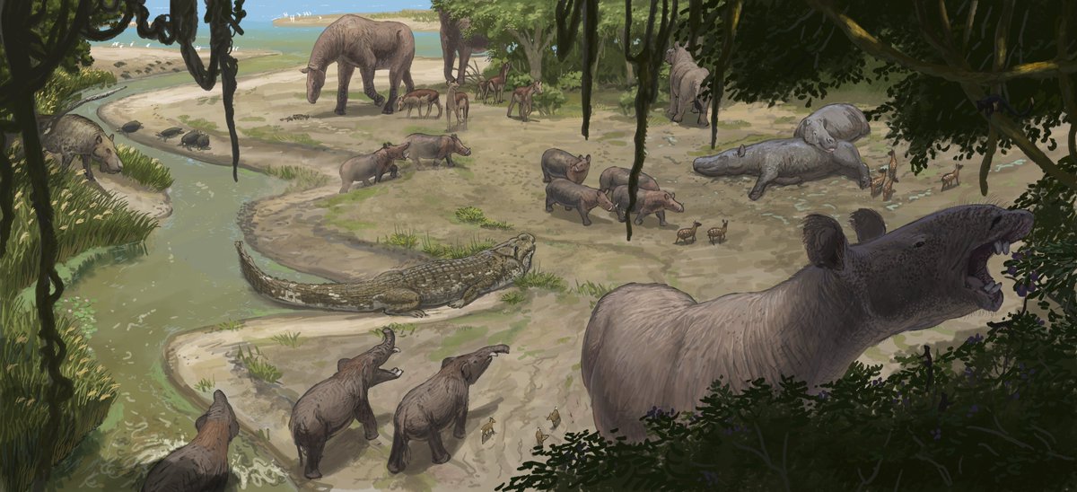 Joschua Knüppe tweet media