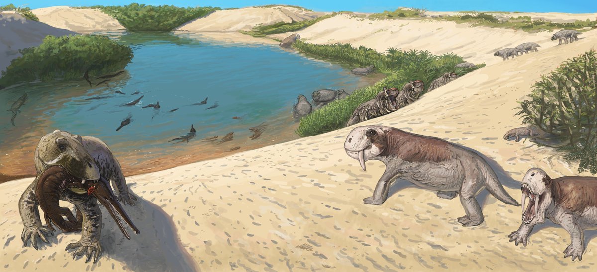 Joschua Knüppe tweet media