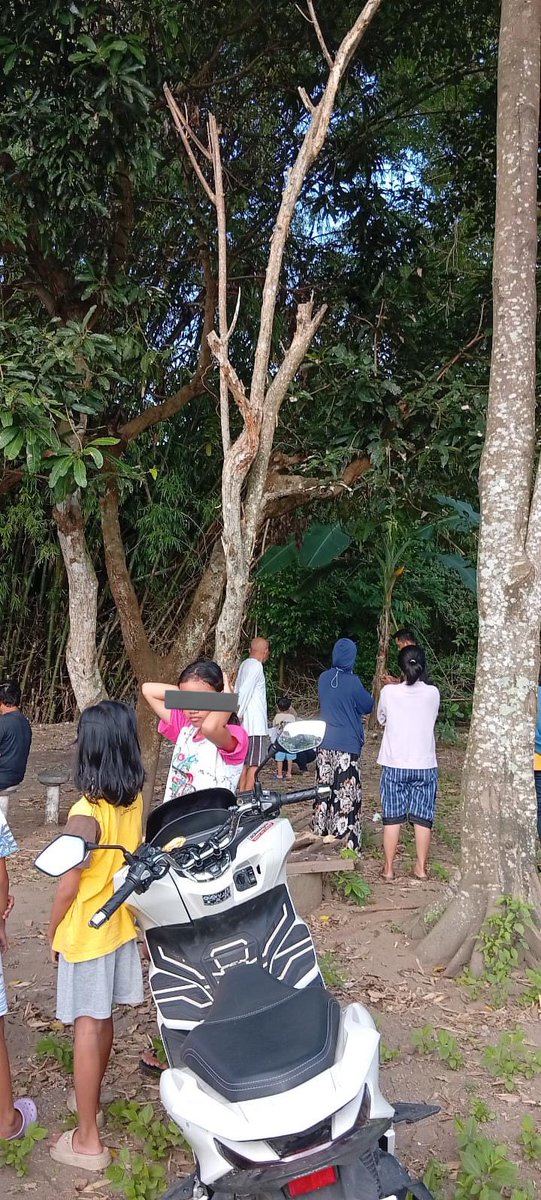 Merapi Uncover tweet media
