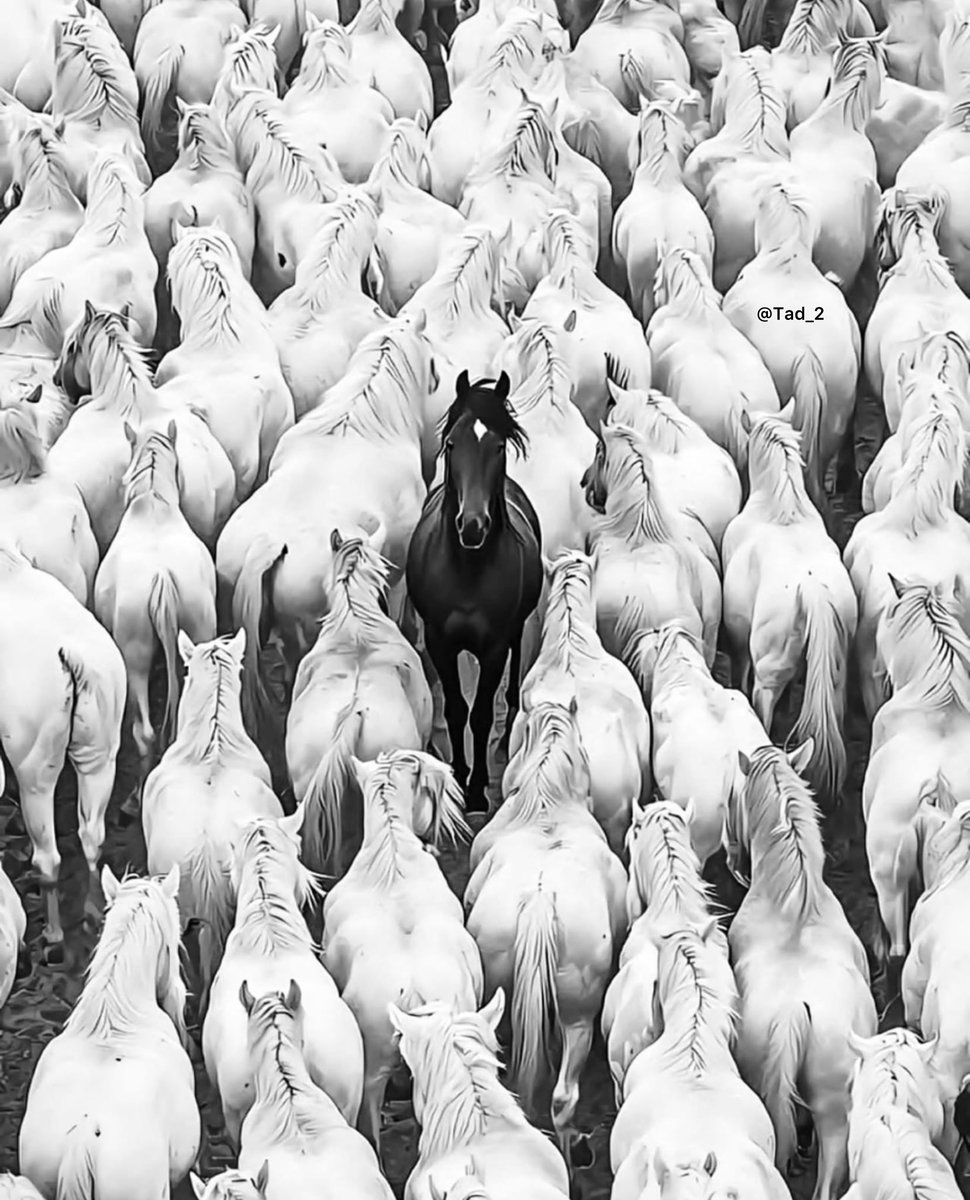 ....Les étudiants d'une école pour enfants riches et rebelles prennent les choses en main après que le campus soit pris en otage par un groupe de criminels.