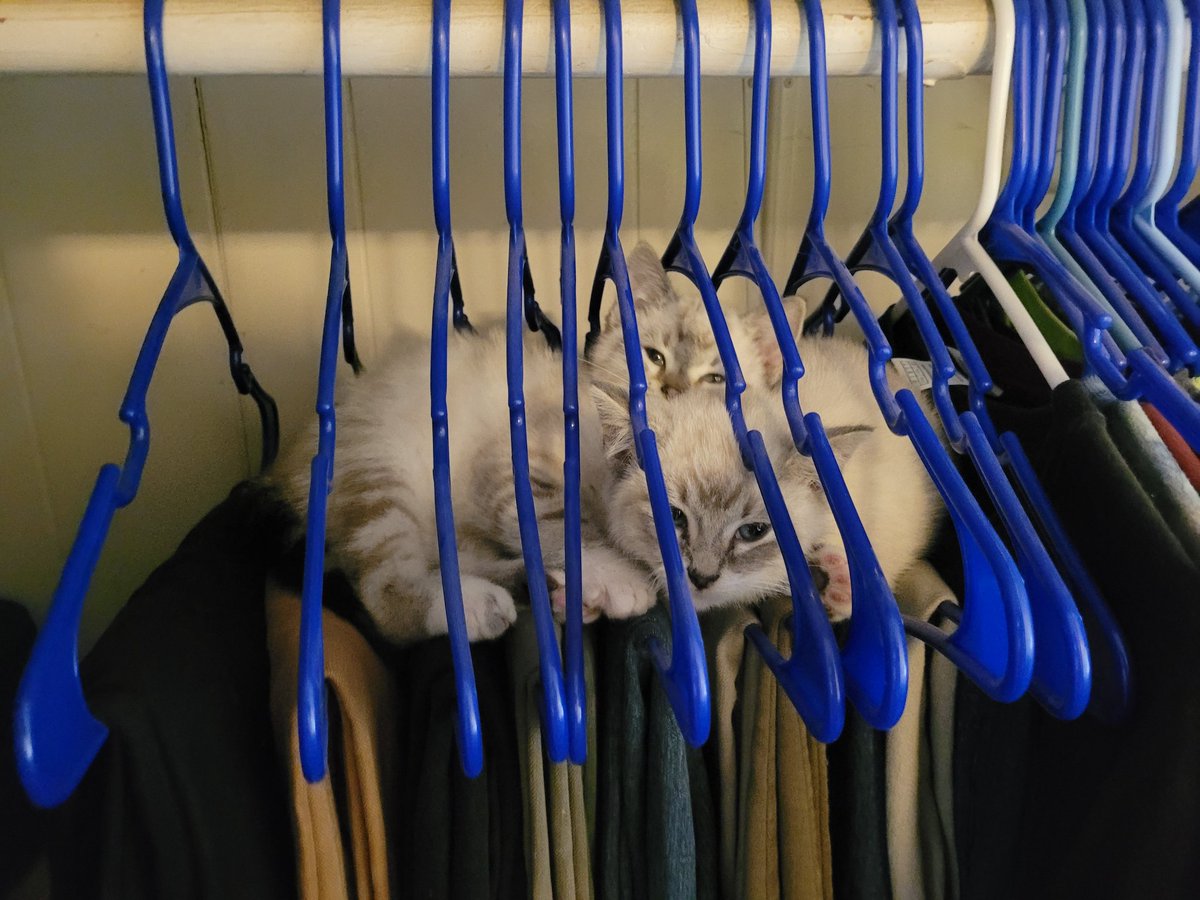 Hoff (@hoffphph) on Twitter photo 