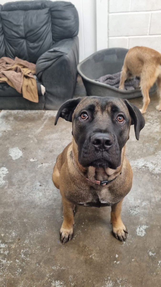 The difference between these photos makes me emotional, how is my baby 8 months already🥺