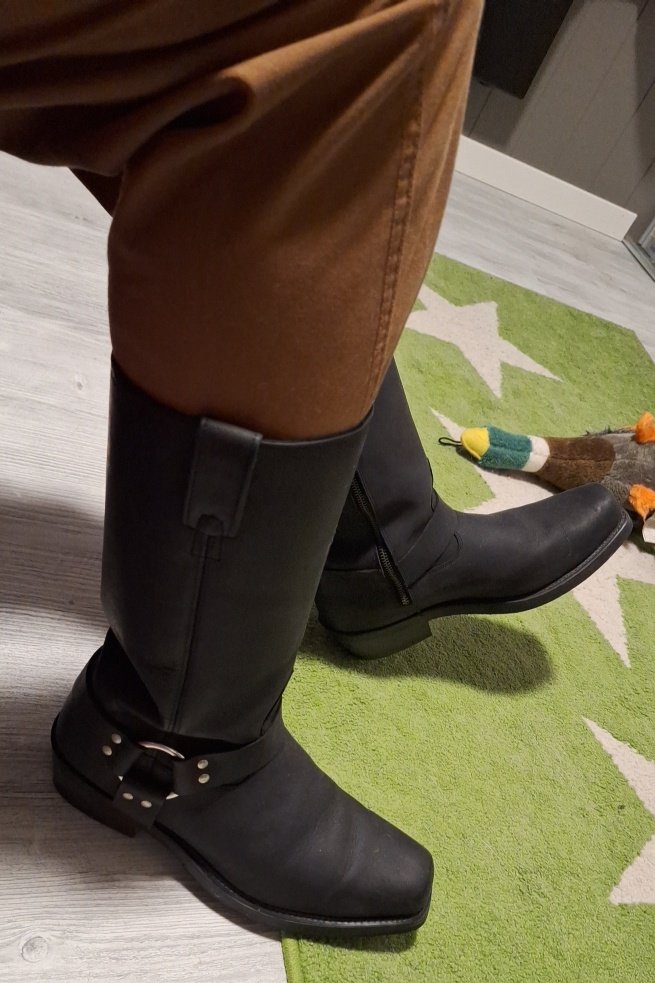 T70 Racer tweet media