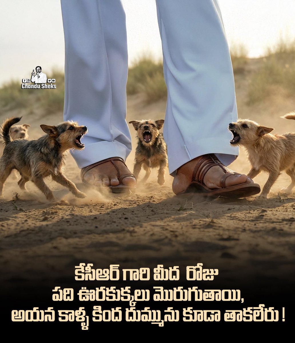 ChanduSheksBRS's tweet photo. ఆయన శిఖరం లాంటోడు ! ఇంకో వంద మంది నీ అసొంటోళ్ళు వచ్చి మొరిగిన ఆయన చరిత్ర చెక్కు చెదరదు !

ఆయన సుదీర్గ రాజకీయంలో వరుస విజయాలు సాధిస్తూ,
తనని తాను తగ్గించుకొని, వ్యవస్థను హెచ్చించుకుంటూ 
ముందు నడిచారు కాబట్టే, వ్యవస్థ కూడా ఆయన పోరాటానికి 
తలొంచి ఈ రాష్ట్రం ఏర్పాటు అయ్యింది!

ఇప్పుడు, అదే రాష్ట్రంలో ఆయనను అవమానించి చిన్నదిగా చేసి చూపించాలన్న నీ ప్రయత్నమే నిన్ను పాతాళానికి తొక్కుతుంది బిడ్డ! ఇది తథ్యం ! 

అప్పటివరకు ఎంత ఎగురుతావో ఎగురు !
మా టైం వచ్చినప్పుడు ఎగరేస్తం !

@BRSparty @KTRBRS @BRSHarish