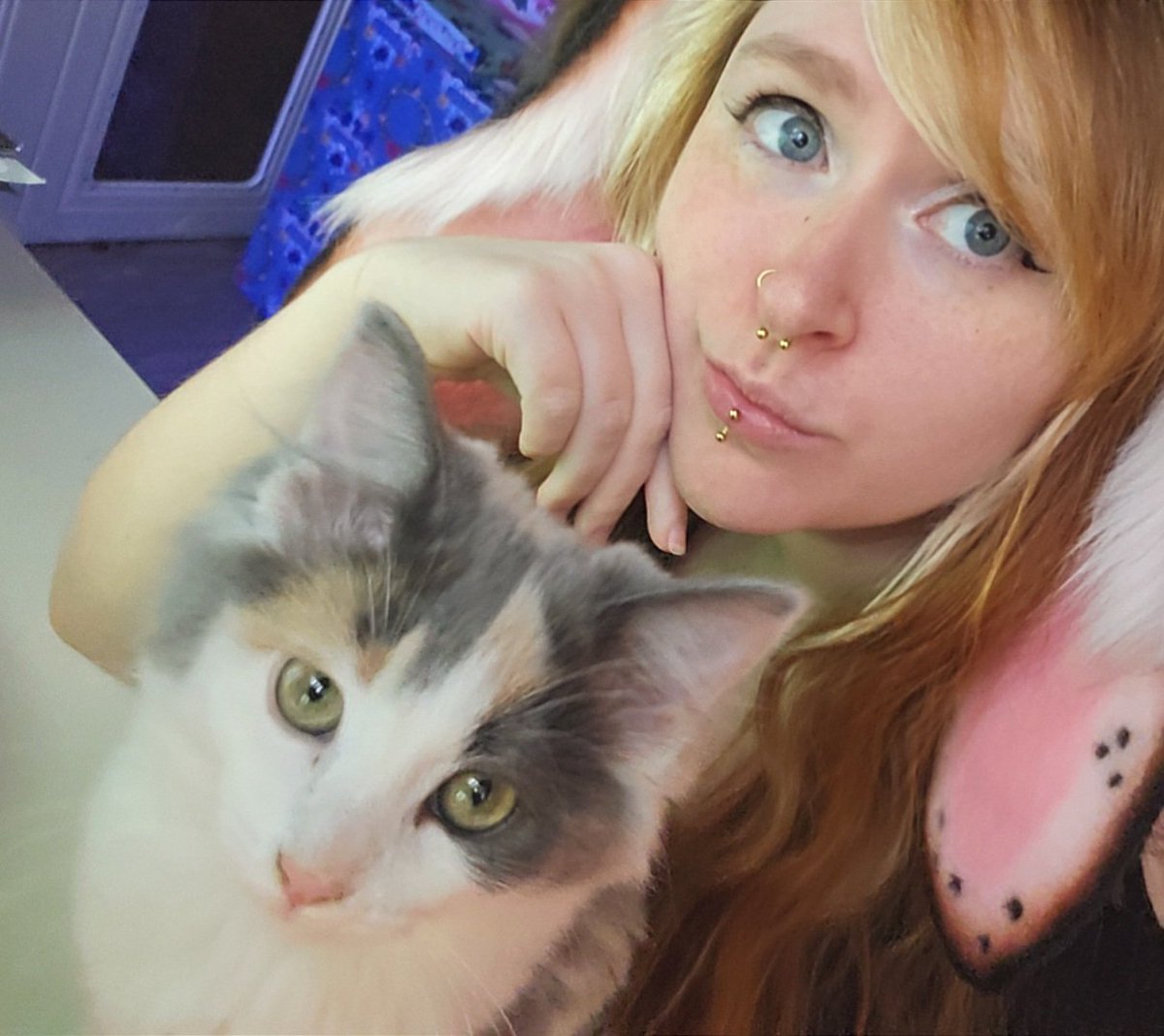 luna ☾⋆⁺₊✧ tweet media