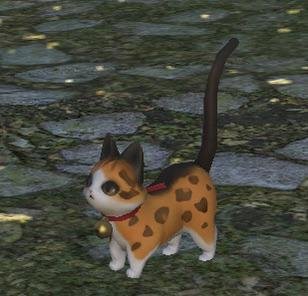 luna ☾⋆⁺₊✧ tweet media