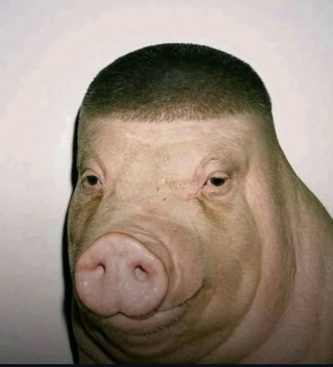 Just remember this the last hr episode till next year