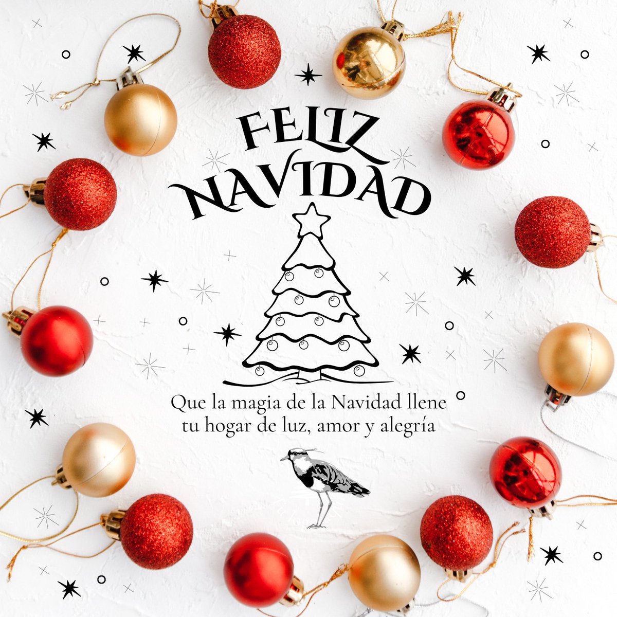 Desde El Keltehue : Qué la luz de esta Navidad ilumine los hogares, los caminos y las palabras que aún están por escribirse.
✨ ¡Felices fiestas!
#FelizNavidad #ElKeltehue #PeriodismoIndependiente