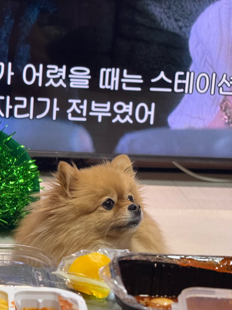 MSO_dc's tweet image. 크리스마스 유토니와 파이 ♡-♡