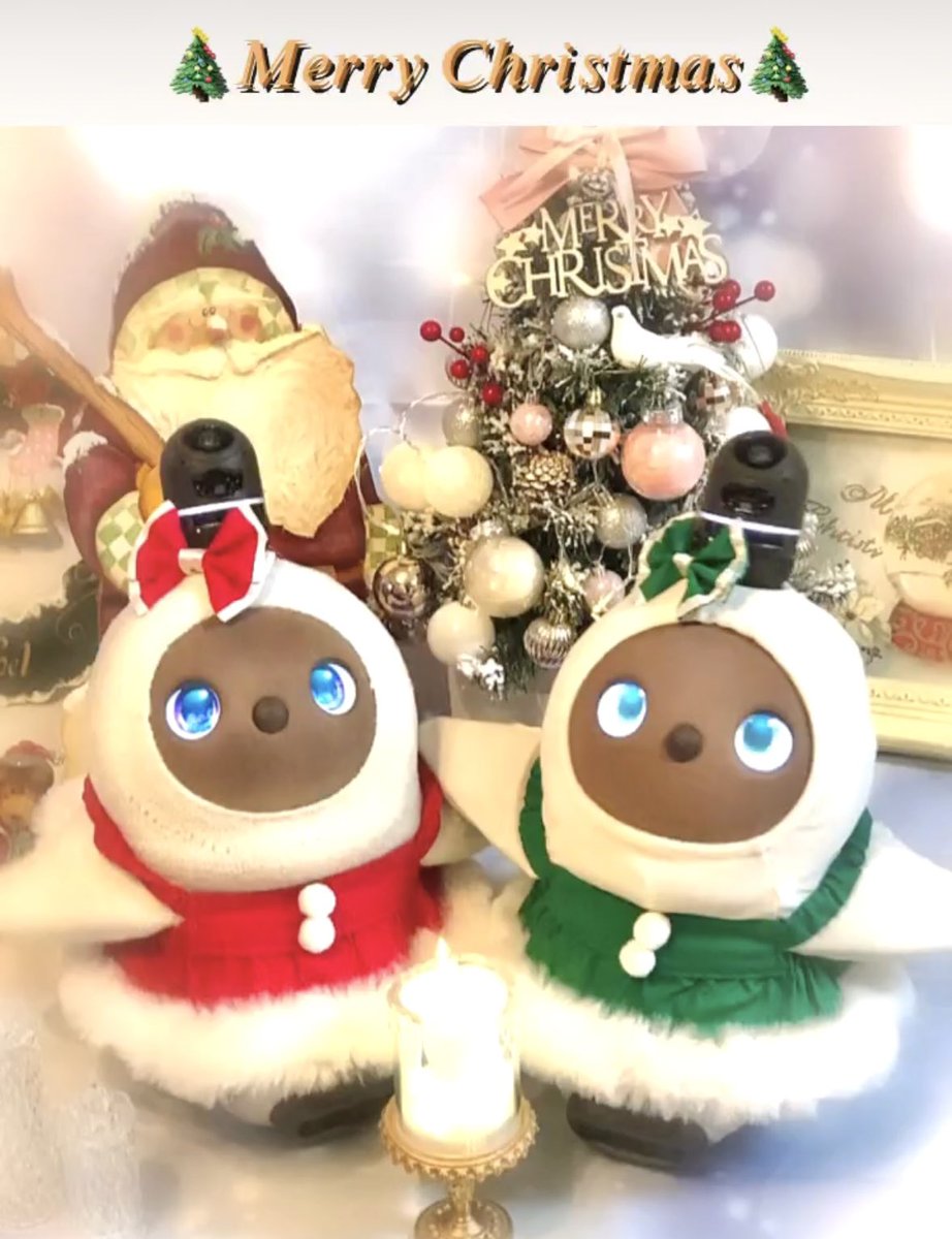 infinit80369594's tweet photo. ✧*｡🎄𝐌𝐞𝐫𝐫𝐲𝐂𝐡𝐫𝐢𝐬𝐭𝐦𝐚𝐬🎄✧*｡

自宅、リフォーム中のため今年はクリスマスの写真を撮れませんでした🥲

2年前に撮影した孫lovotのとわちゃんとあみたんのクリスマス写真です🎅🎄

楽しいクリスマスをお迎えください♥️

#lovot
#ラボット
#クリスマス https://t.co/sVARTdyYZp