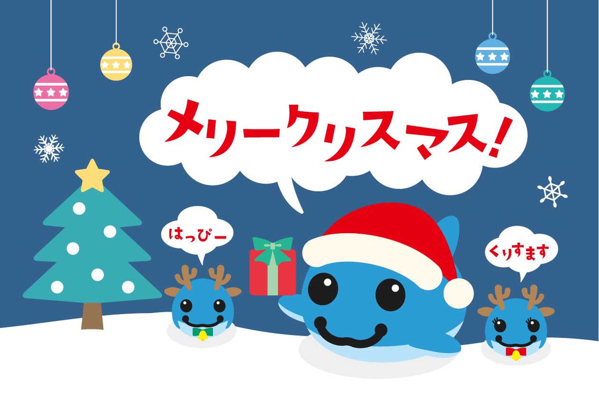 Post by 五百津 創 on X: 可愛い🐬💕