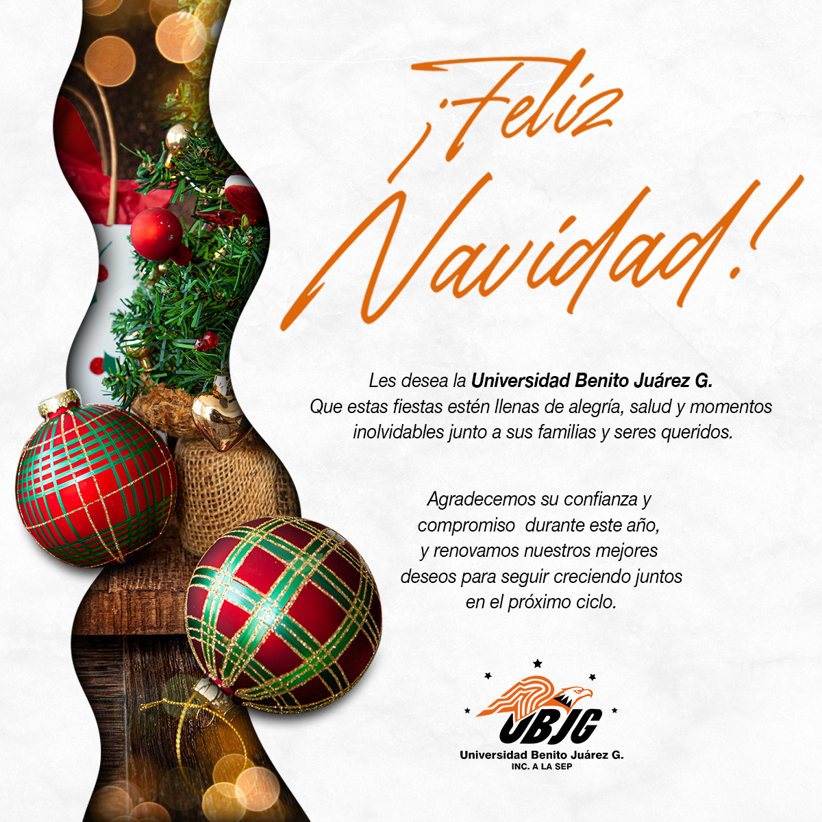 🎄✨ ¡Feliz Navidad!

Que estas fiestas estén llenas de alegría, salud y momentos inolvidables junto a sus familias y seres queridos.
Agradecemos su confianza y compromiso durante este año y les deseamos un nuevo ciclo lleno de logros y crecimiento.

Con cariño, UBJG. 🎓💫