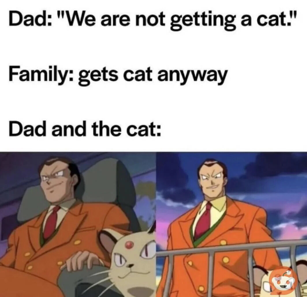 WholesomeMeme's tweet image. 