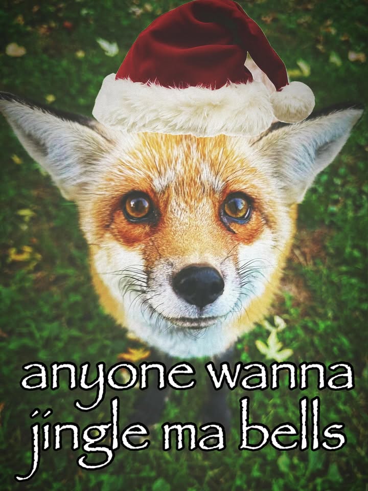 Spheredala!🍉 tweet media