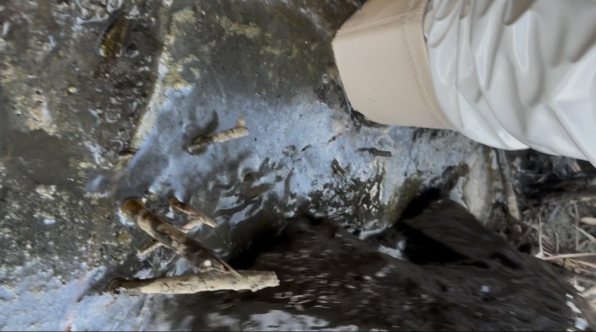 𝑨𝒔𝒖𝒌𝒂👢 tweet media