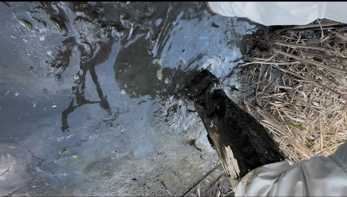 𝑨𝒔𝒖𝒌𝒂👢 tweet media