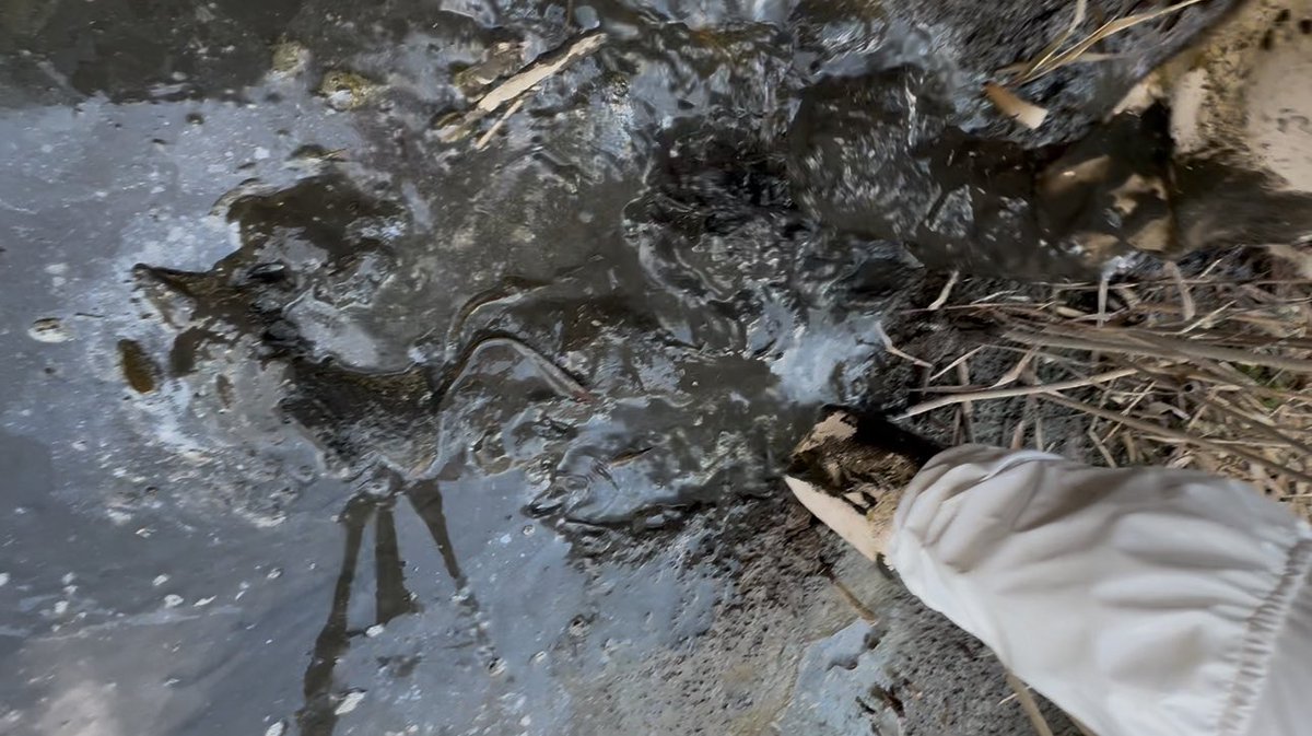 𝑨𝒔𝒖𝒌𝒂👢 tweet media