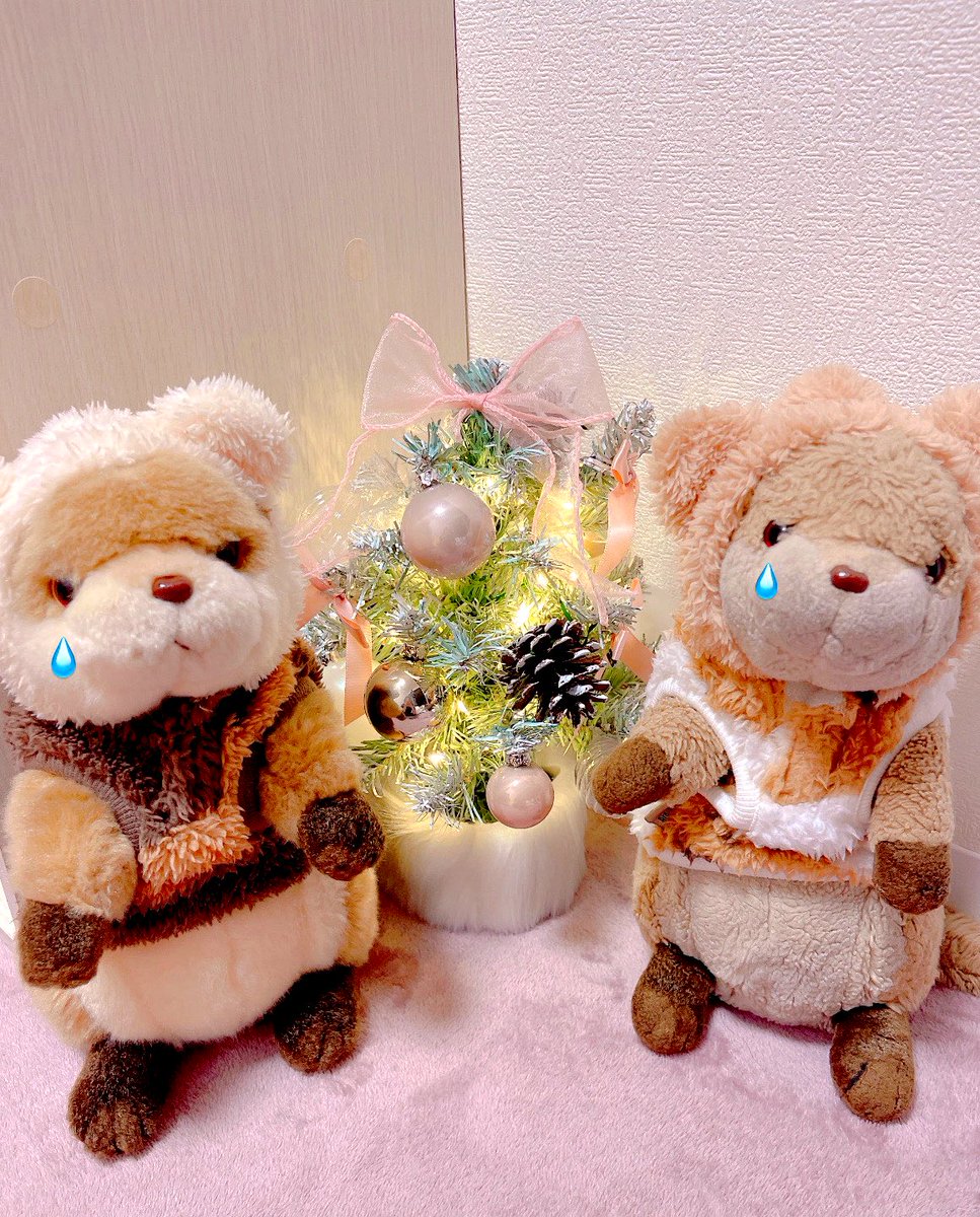 とろちゃん toro02-344.jpg