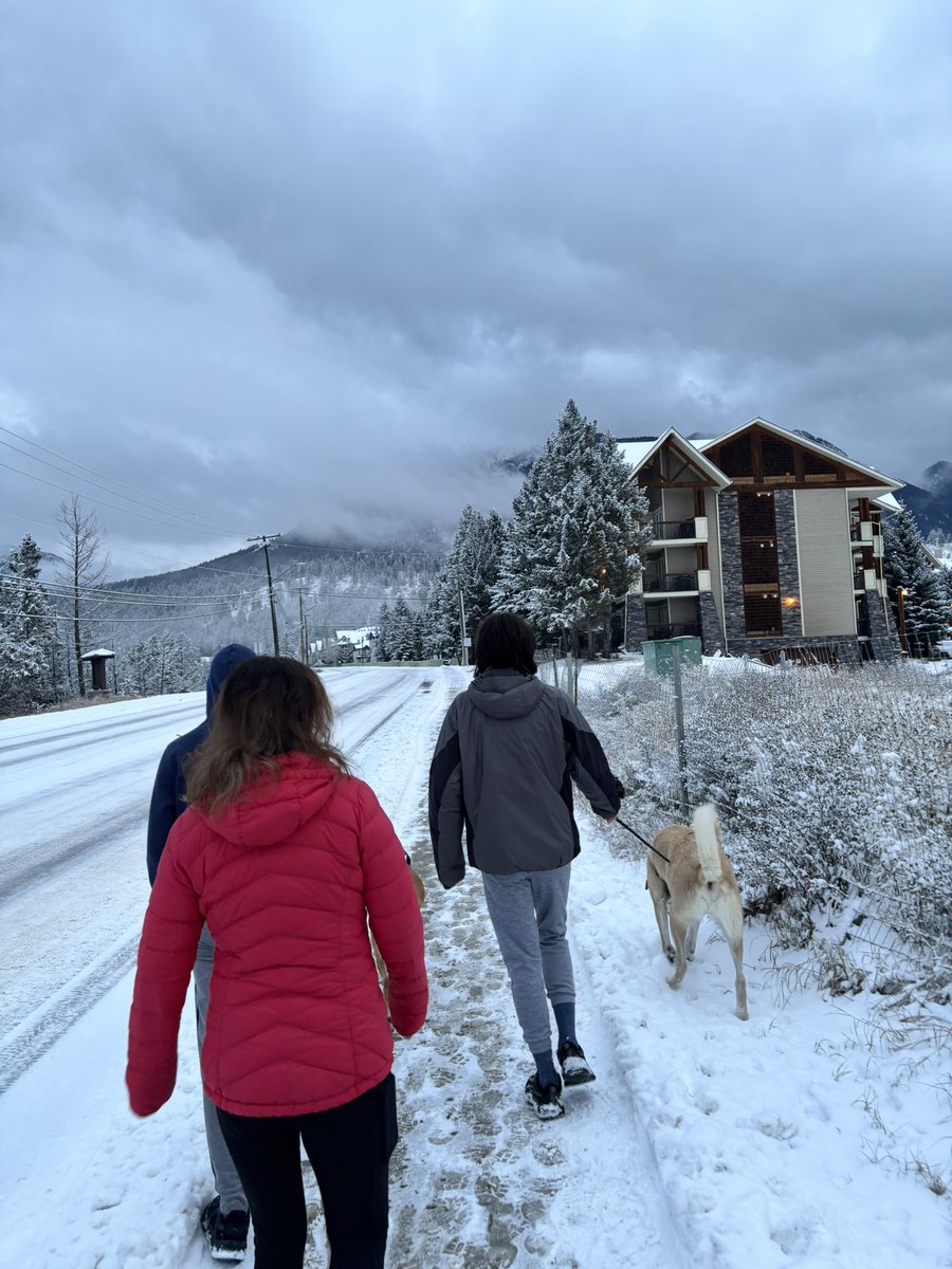 Dave Hall tweet media