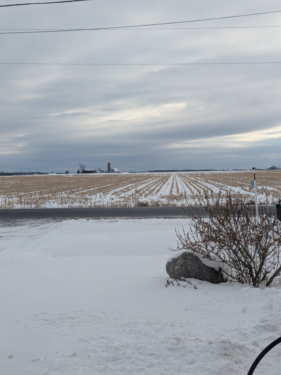 CinqaSet's tweet image. 