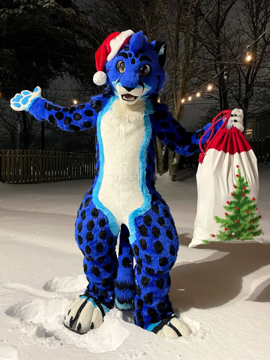 Santa’s Helper Cat is back out again this year! Delivering present to all the good animals!

…Not dogs though, they’re all on the naughty list! 😼