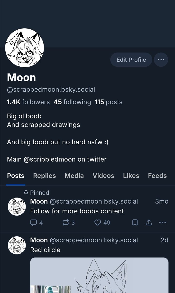 Moon (@Scrapped_moon) / Posts / X