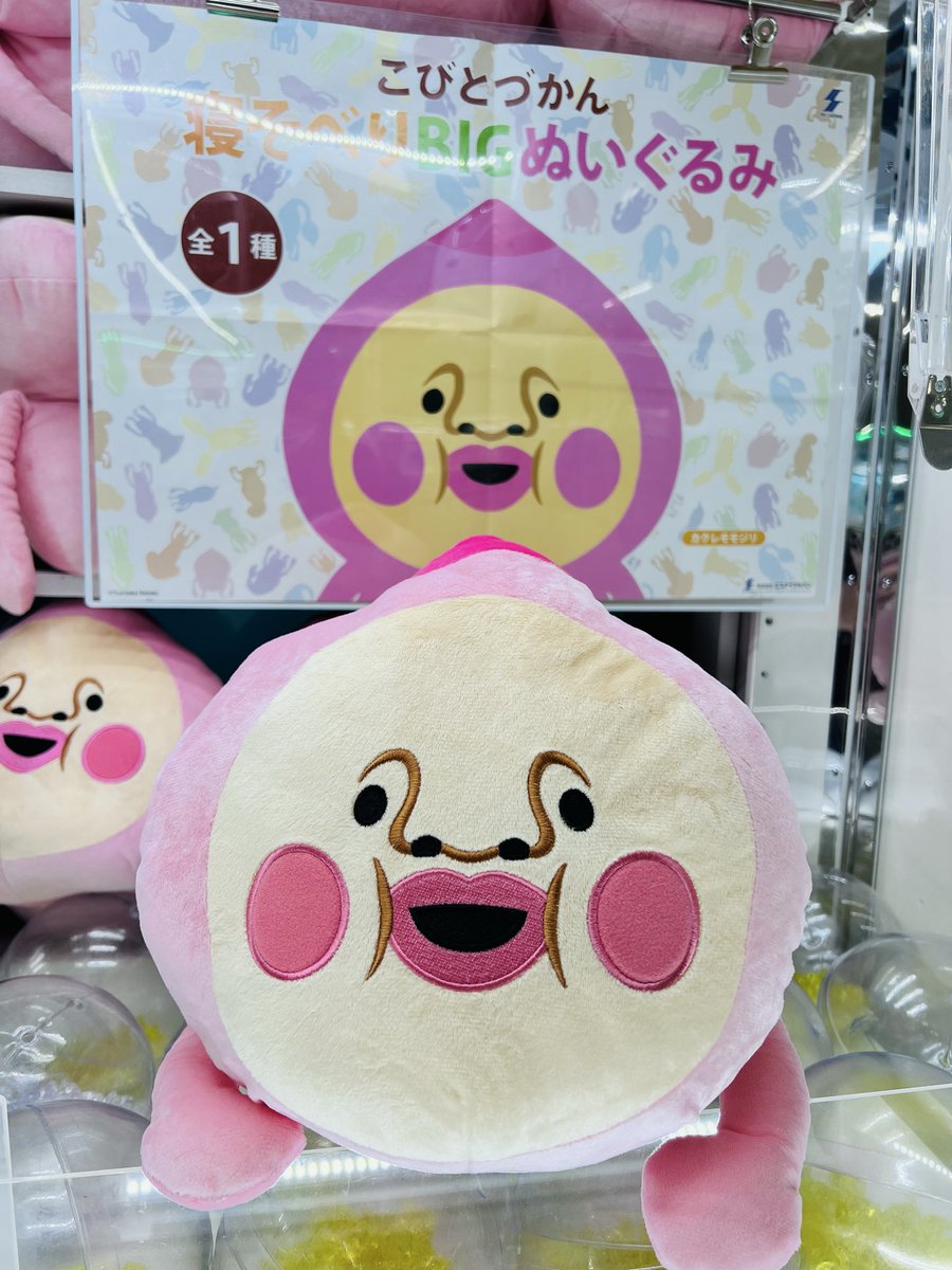 こちらも入荷してます 大人気のこびとづかん カクレモモジリ 大きいぬいぐるみです 是非GETしに来てくださいね ゆうぷら ゆうぷら西那須野 那須 クレーンゲーム こびとづかん カクレモモジリ ぬいぐるみ