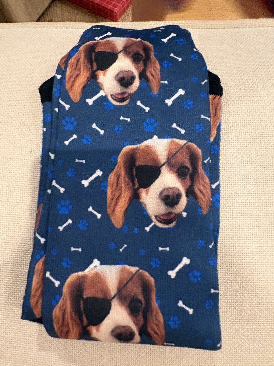 Boooderr's tweet image. Diamond Dog socks