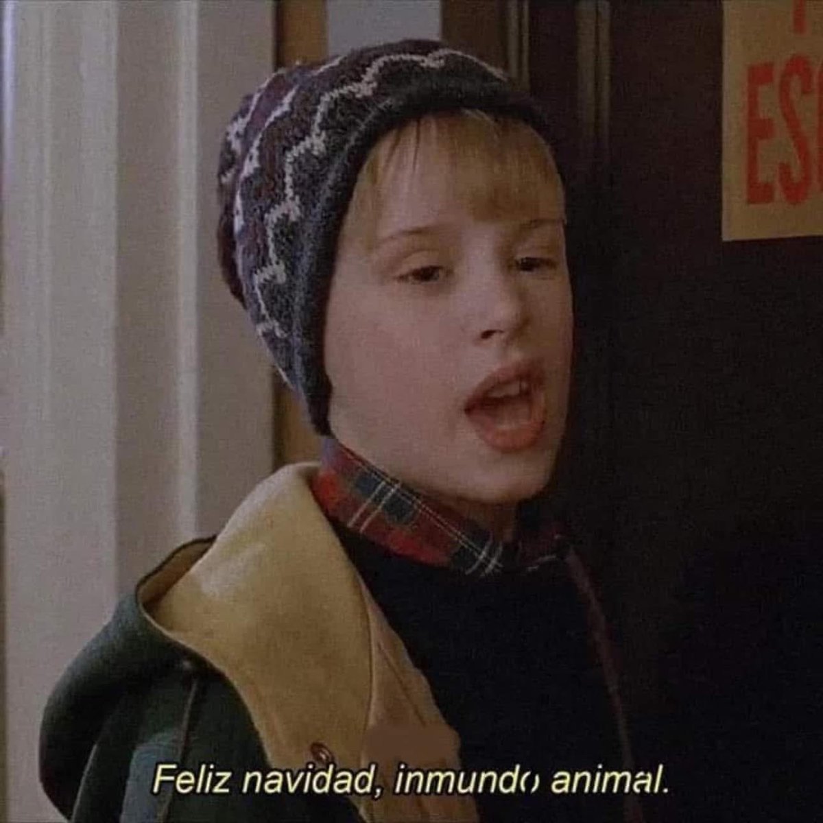 Indie5051's tweet image. Esperé todo el año para esto