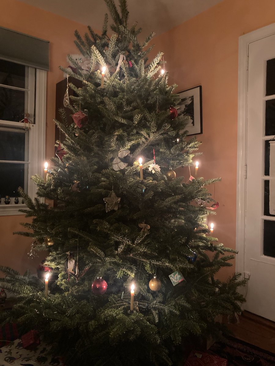 Klaus Theopold tweet media