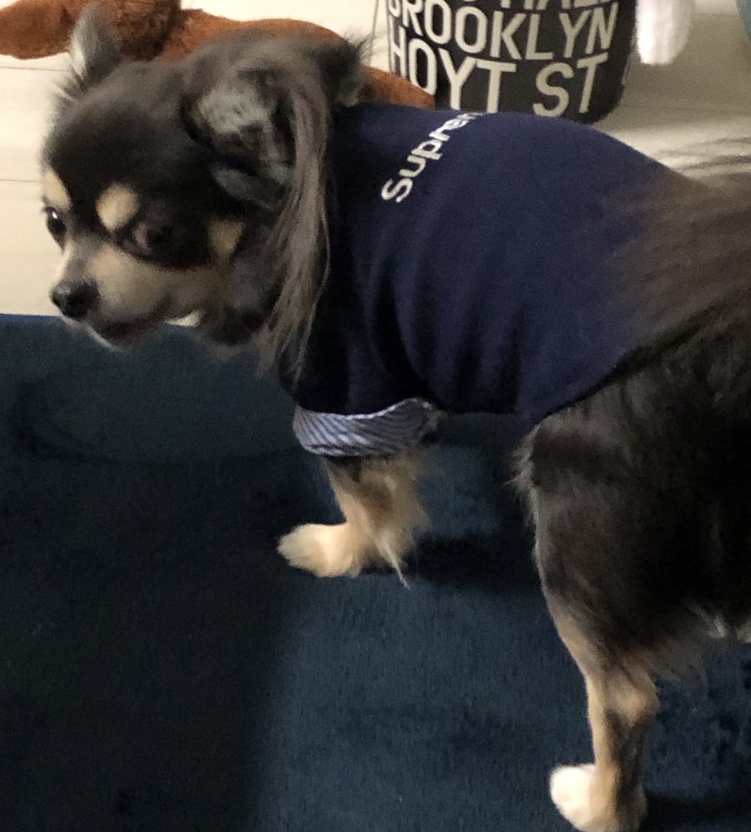 カプッ

父が噛まれたー

マテアーニャーマテお姉ちゃん🧟🐶

父ゾンビ🧟❓

カプッ
・・
・
🧟🧟‍♀️🐶

マテーマテーマテー

待て待てこれ誰が止めんねん😆

ギャハハ😆

こんな僕らにお付き合いくださった皆様に
幸あれ🙌

Merry Xmas🎄ワン🐶