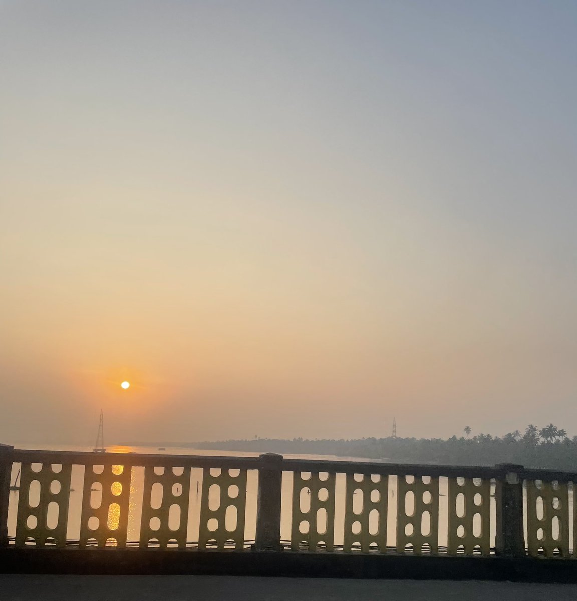 Merry Christmas from Kochi🇮🇳✨🎄