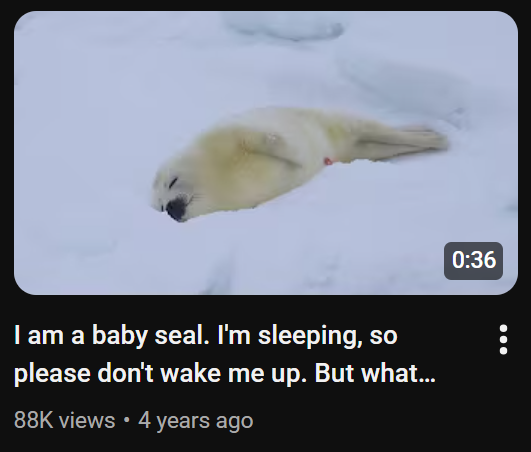 Eri (@belladonnaeri) on Twitter photo 