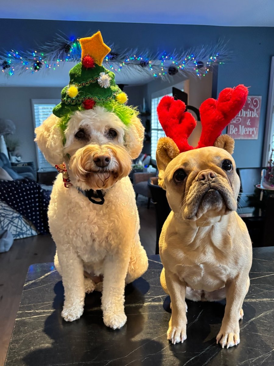 Merry Christmas from these two characters. 🎄💚❤️