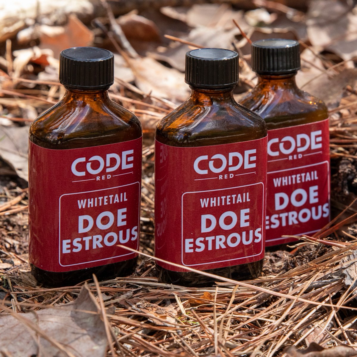 Code Red! This is not a drill! Santa and his reindeer are coming tonight! 🚨